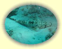 IMG_2007_05_29 16_12_48 * 3072 x 2304 * (1.17MB)